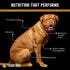 Freeze Dried Turkey Dog Treats for Training | Healthy Gluten Free, Grain Free Dog Treats | No Added Fillers, Flavoring or by-Products | for All Br...