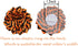 BoomBone Halloween Dog Collar Flowers Accessory,Flower Charms Sliders for Holiday Dog Collars...