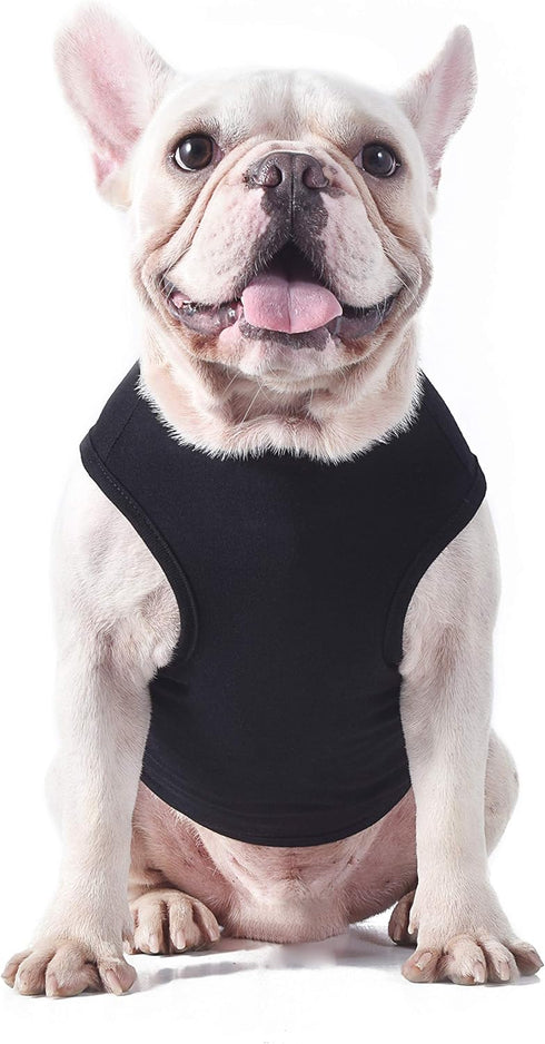 Star Wars for Pets Black & Yellow Logo Dog Tank | Dog Shirt for Large Dogs | Size Large for Large Size Dog Breeds | Adorable Dog Clothing and Appa...