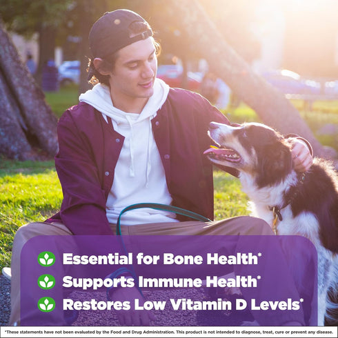 Natrol Fast Dissolve Vitamin D3 2,000 IU, Dietary Supplement for Bone and Joint Health, Bone Support Supplement, 90 Tablets, 90 Day Supply...