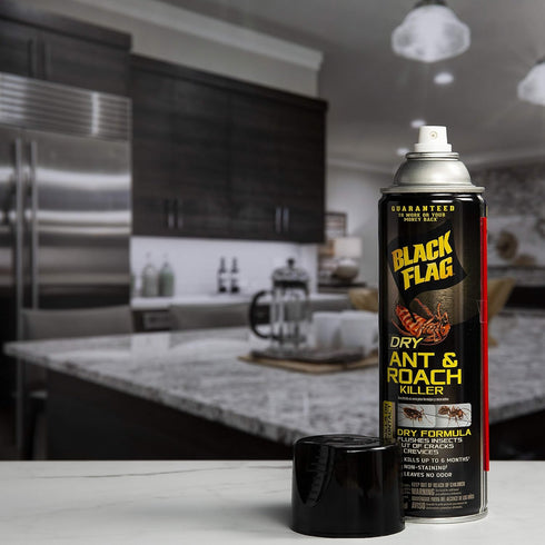 Black Flag Dry Ant And Roach Killer 9 Ounces, Aerosol Spray, Dry Formula, Plain, 1-Count...
