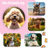 2 Pack Reflective Dog Collar for Small Dogs Girl Boys,Nylon Durable Soft Padded Neoprene Male Female Dog Collars for Medium Puppy Extra Large Dogs...