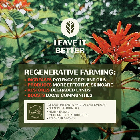 Thrive Natural Care Face Moisturizer - Non-Greasy Soothing Facial Moisturizer Lotion for Men & Women with Natural & Organic Ingredients Keep Skin ...