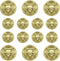 14 Pieces Gold Blazer Buttons, Crown Lion Metal Shank Blazer Buttons Set for Sewing Coats Suits Blazers...