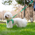 Dog Harness and Leash Set, No Pull Pet Harness for Small Dogs Easy Walking,Soft Breathable Small Dog Harness,Adjustable Reflective Step in Vest Ha...