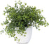 WHW Whole House Worlds Realistic Faux Baby Oregano, Potted Plant, Houseplant, Kitchen, Lushly Leafed, White Pot, Plant Diameter is 6 Inches x 9 3/...