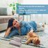 2 Pieces Pet Hair Remover for Cat Hair Removal Pumice Stone Tool Carpet Dog Fur Removal Tool for Car Couch Furniture Bedding Easy to Clean (5.3 In...