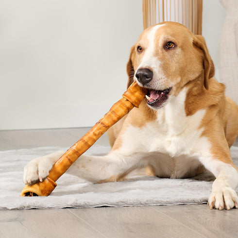 USA Beefhide Bones 15-17" Dog Chew Treats - Chicken Flavor, 1 Count/1 Pack...