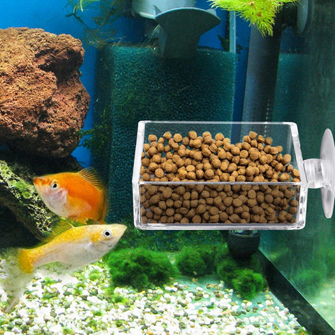 Shrimp Feeding Dish Square Fish Tank Feeding Bowl Clear Acrylic Aquarium Feeder Bowl with Suction Cup...
