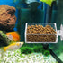 Shrimp Feeding Dish Square Fish Tank Feeding Bowl Clear Acrylic Aquarium Feeder Bowl with Suction Cup...