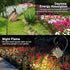 Solar Watering Can with Lights - Outdoor Garden Decor, Waterproof Hanging Lantern Landscape Lights for Yard, Patio, Pathway - Solar Lights Outdoor...