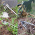 Weed Puller Tool, 2023 New Durable Premium Manganese Steel Weeding Tool, 4 Teeth 2 in 1 Weeder, High Strength Hand Remover Tool for Gardening, Pla...