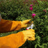 Heavy Duty Long Leather Garden Gloves Thorn and Cut Proof Garden Work Gloves (Medium, Yellow)...