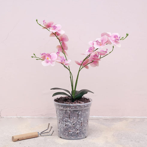 TRUEDAYS 4 Pack Orchid Pots with Holes, 6 Inch Clear Plastic Pots for Plants, Flowers...