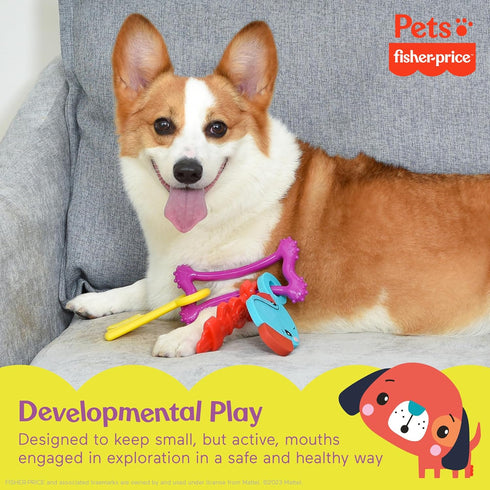 Fisher-Price for Pets Key-9 Teething Ring for Puppies - Dog Chew Toy for Puppies, Puppy Teething Toy, Puppy Teether - Puppy Toys, Cute Puppy Gift ...