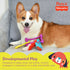 Fisher-Price for Pets Key-9 Teething Ring for Puppies - Dog Chew Toy for Puppies, Puppy Teething Toy, Puppy Teether - Puppy Toys, Cute Puppy Gift ...