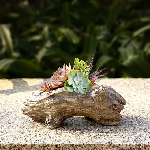 Succulent Planters Driftwood Planter Succulent Pots Small Plant Flower Cactus Pots Tree Stumb Wood Planter with Drainage Hole...