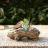 Succulent Planters Driftwood Planter Succulent Pots Small Plant Flower Cactus Pots Tree Stumb Wood Planter with Drainage Hole...