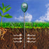 XLUX Long Probe Deep Use Soil Moisture Meter, Water Monitor Indicator Sensor, Hygrometer for Outdoor Indoor Large Pot Plants, Flower, Gardening, F...