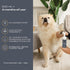 Dog Paw Cleaner - Made in USA - No-Rinse Foaming Paw Cleanser - NO Sulfates, Fragrances, Dyes - Gentle Pet Paw Cleaner for Dogs and Cats - Dandeli...