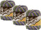 Sugar'N Cream Yarn - Ombres-Country Side......