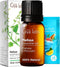 Gya Labs Melissa Essential Oil for Candle Making Scents - 0.34 Fl Oz - Natural Melissa Oil...