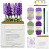 Lily's Lyric Flower Crochet Kit | Lavender Flower with Paper Bag| Step-by-Step Video Tutorial for Adults Teenagers | Craft Gift Idea DIY Home Deco...