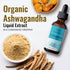 HERBAMAMA Ashwagandha Liquid Drops - Organic Ashwagandha Root Tincture - Ashwagandha Extract Supplements for Men & Women - Vegan Liquid Complex 2 ...