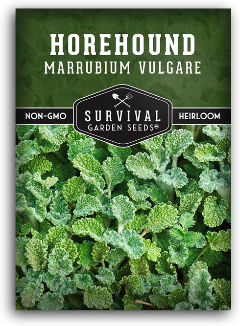 Horehound Seed for Planting - 1 Packet with Instructions to Plant and Grow Beneficial Marrubium Medicinal Herbs in Your Home Vegetable Garden - No...