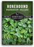 Horehound Seed for Planting - 1 Packet with Instructions to Plant and Grow Beneficial Marrubium Medicinal Herbs in Your Home Vegetable Garden - No...