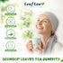 LeafLea Premium Soursop Leaves Tea Bags, Pure & Natural Soursop Tea, Graviola Leaves Tea, Hoja Guanabana Tea, 40 Herbal Tea Bags, Natural Digestio...