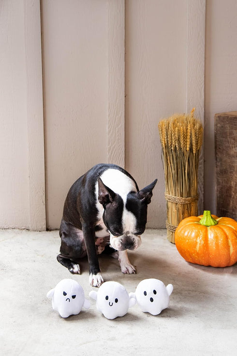 Pearhead Plush Squeaky Ghost Dog Toys, Halloween Stuffed Pet Toy, Dog Owner Must Have Accessories, Spooky Ghosts Fall Dog Toys, Set of 3...