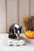 Pearhead Plush Squeaky Ghost Dog Toys, Halloween Stuffed Pet Toy, Dog Owner Must Have Accessories, Spooky Ghosts Fall Dog Toys, Set of 3...