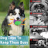 3.5in Squeaky Dog Balls, Dog Toys Balls for Training, Tough Ball Toys for Dogs, Light Weight Dog Toy Balls, High Bouncy Dog Ball for Interactive P...