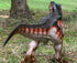 Gemini & Genius Dinosaur Toys Tyrannosaurus Rex Action Figure with Movable Jaw - 11.5 Inches Length - Gifts, Stocking Stuffer, Birthday Cake Toppe...
