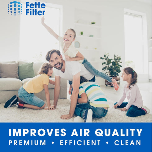 Fette Filter - Filter Compatible with BISSELL MYair Pro Hub and Plus Air Purifier Replacement HEPA and Carbon Filter Part # 3069 and 3389 - Pack o...