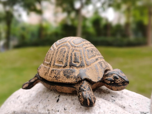 Hide A Key Outside - Spare Key Hider - Outdoor Key Hider, Garden Turtle Statues Key Box...