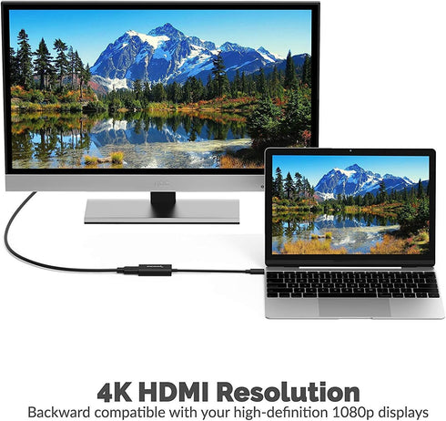 SABRENT USB 3.1 Type-C to HDMI Adapter (DA-HDMC)...