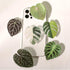 COMMONKUNST Tropical Rare Leaf Plant Multi Functional Collapsible Expandable Mobile Phone Grip & Kicktand (Albo Monstera)......