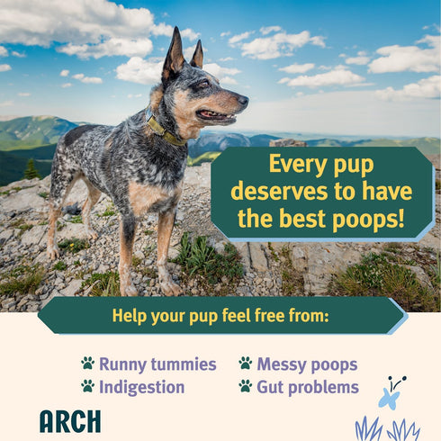 Arch Digestive Health Dog Treats | Prebiotic/Probiotic, Hypoallergenic, Made in The USA, Gluten-Free, Eco-Friendly | High Protein, Natural High Va...