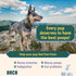 Arch Digestive Health Dog Treats | Prebiotic/Probiotic, Hypoallergenic, Made in The USA, Gluten-Free, Eco-Friendly | High Protein, Natural High Va...