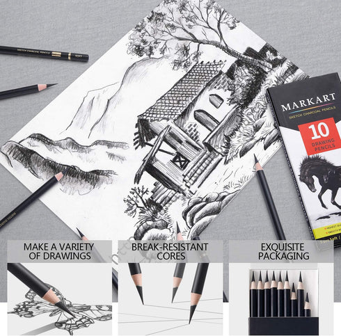 Professional Charcoal Pencils Drawing Set - 10 Pieces Soft Medium and Hard Charcoal Pencils for Drawing, Sketching, Shading...