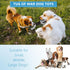 Plush Dog Squeak Toys with Crinkle Paper - Pull Interactive Tug of War Dog Toy, Great for Dental Health, Strengthening Bonds and Anxiety Relief fo...