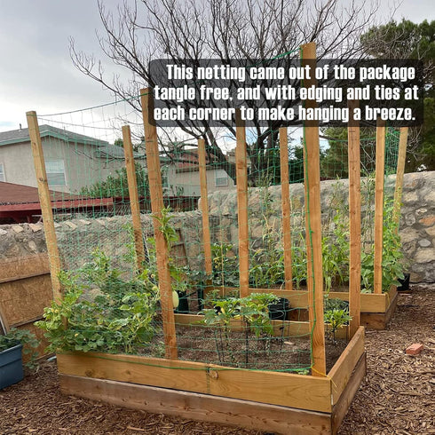 Trellis Netting, Heavy-Duty Garden Grow Netting for Climbing Plants, Outdoor Indoor Net for Cucumber, Tomatoes, Beans, Clematis, Fruits & Vegetabl...