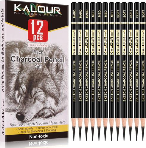 KALOUR Professional Charcoal Pencils Drawing Set -12 Pieces Soft, Medium and Hard Charcoal Pencils for Drawing, Sketching, Shading, Artist Pencils...
