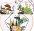 3* Embroidery Kit, Beginner Adult Embroidery Material Pack, Green Plants, Succulents Pattern Collection…......