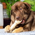Pet Factory 100% Made in USA Beefhide 9-10" Knotted Bone Dog Chew Treat - Natural Flavor, 1 Count/1 Pack...