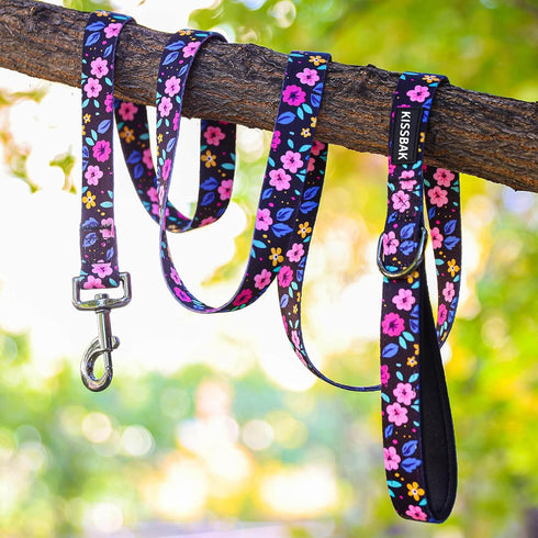 KISSBAK Dog Leash for Medium Dogs - Comfortable Padded Handles,Premium Floral Sunflower Dog Training Leash,Walking Lead for Dogs (Floral, Medium (...