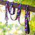 KISSBAK Dog Leash for Medium Dogs - Comfortable Padded Handles,Premium Floral Sunflower Dog Training Leash,Walking Lead for Dogs (Floral, Medium (...