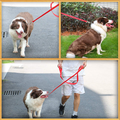 AMAGOOD 6 FT Puppy/Dog Leash, Strong and Durable Traditional Style Leash with Easy to Use Collar Hook,Dog Lead Great for Small and Medium and Larg...